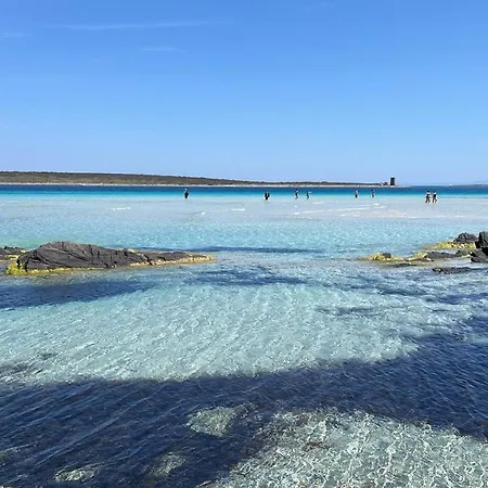 I Pescatori Di Stelle-l1 Sole Holiday home Stintino